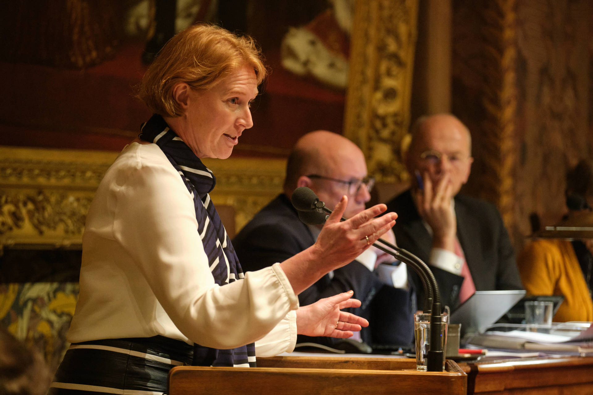 Senator Geerdink (VVD) hield haar maidenspeech