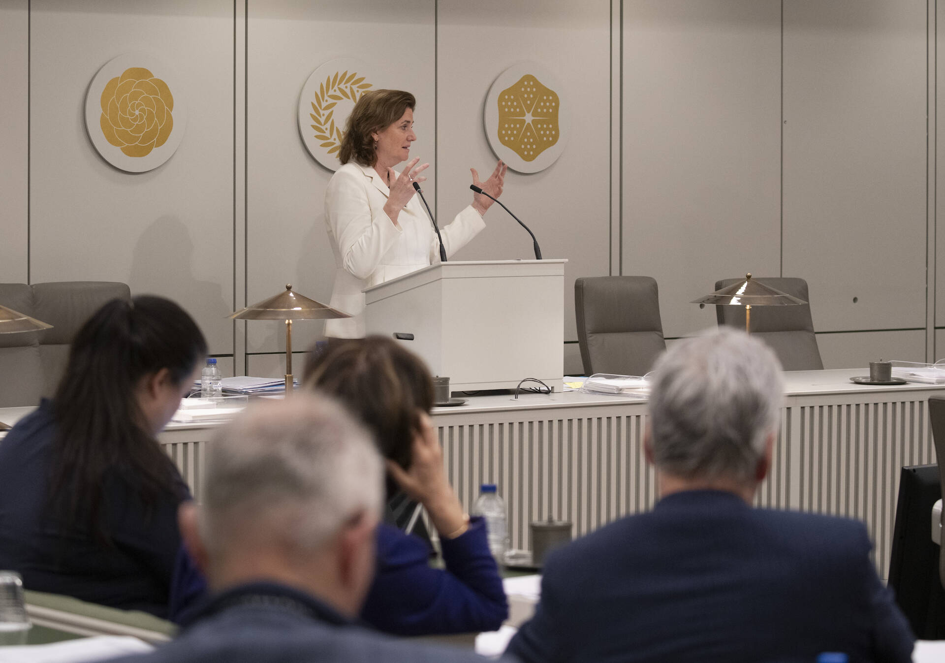 Foto van de plenaire vergaderzaal van de Eerste Kamer: mensen zitten in bankjes en een persoon staat achter het spreekgestoelte op de regeringstafel