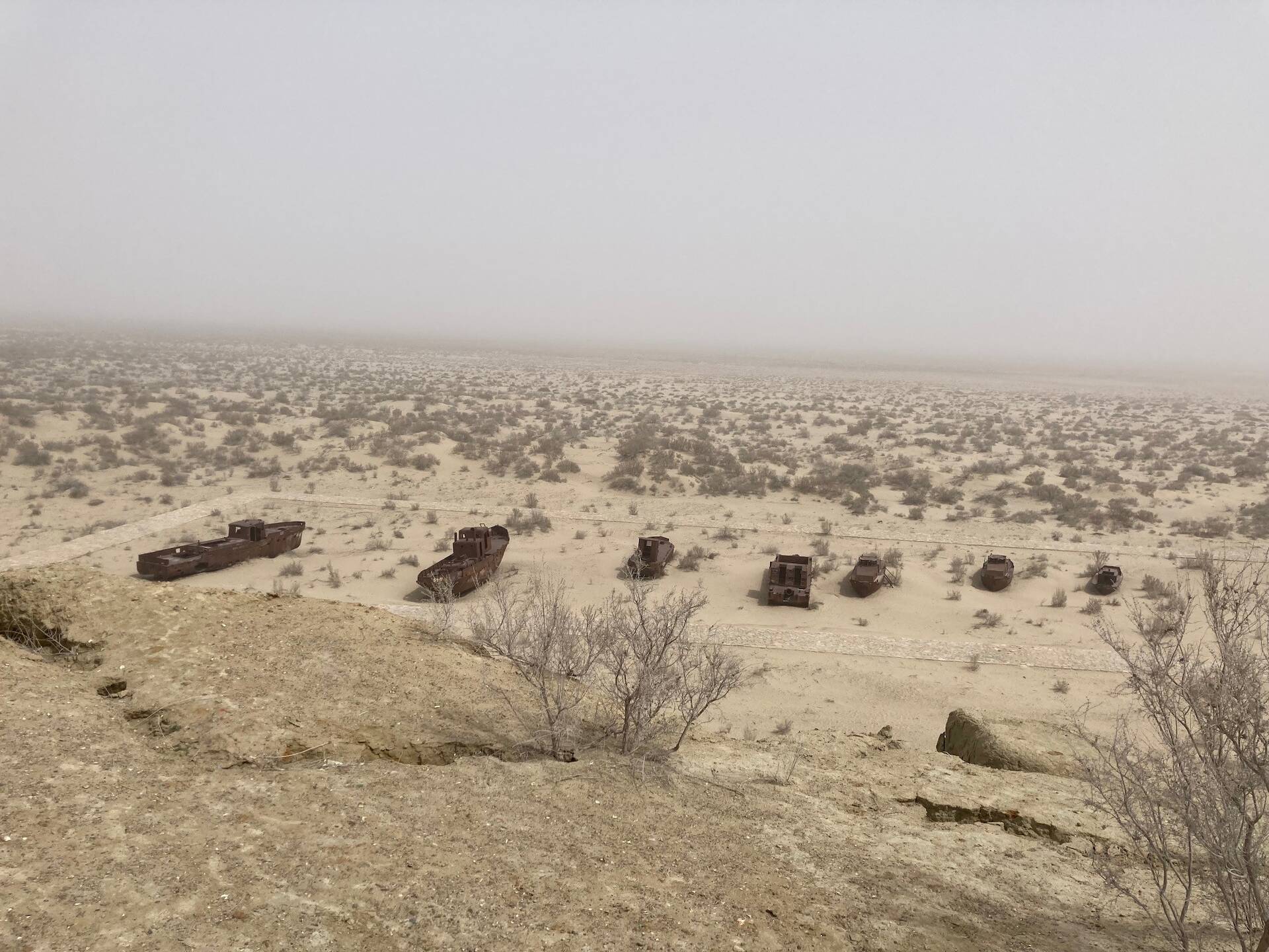 Foto van een drooggevallen vlakte met daarop schreepswrakken