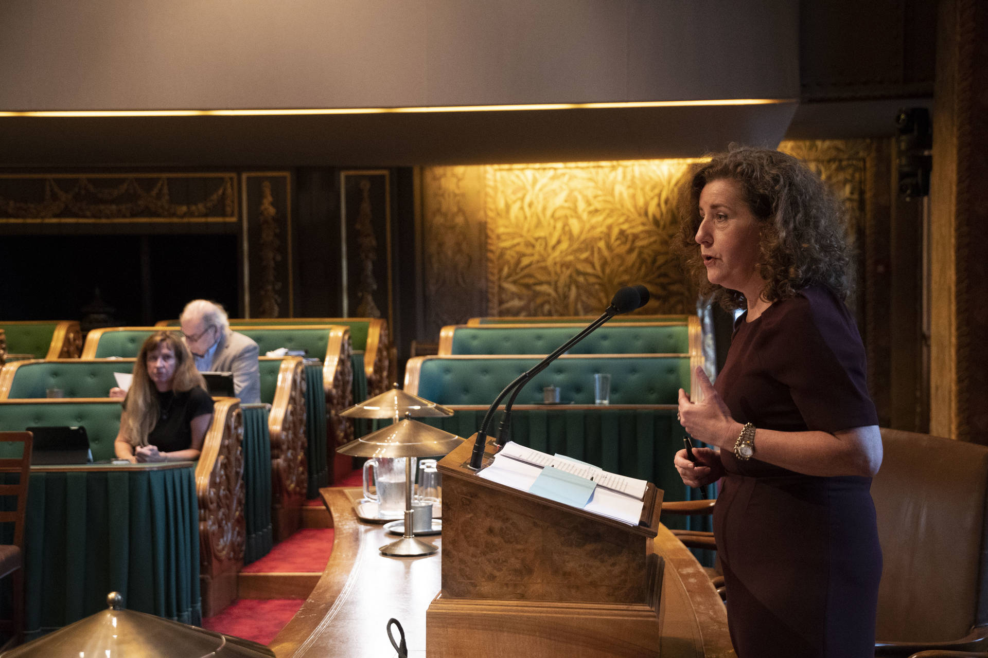 Minister Van Engelshoven van Onderwijs, Cultuur en Wetenschap tijdens het debat op 10 juli