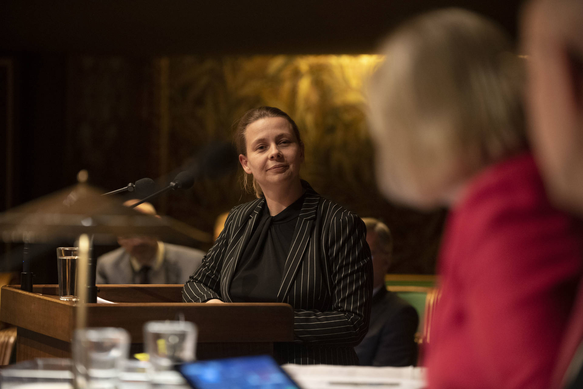 Senator Vink (D66) hield haar maidenspeech