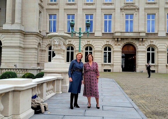 Kamerleden Geerdink (links) en Roovers (rechts) bij het Koninklijk Paleis in Brussel